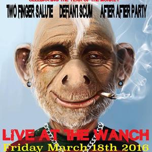 Punk Monkey Gig at The Wanch - 18th March 2016